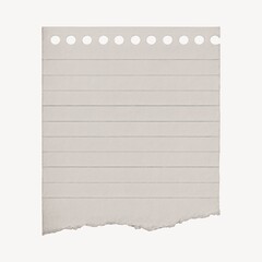 Torn notebook paper sheet texture.