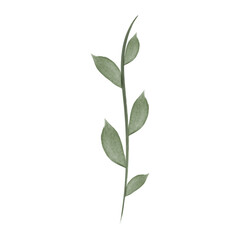 A digital watercolor of a green flower stem with leaves is shown against a plain white background. This vector element is suitable for graphic design or illustration projects.