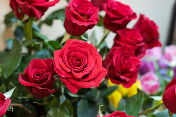A close-up shot highlights the vibrant petals of several deep red roses in a beautiful bouquet, with other colorful blooms softly blurred in the background.