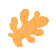 Fresh Organic Ginger Root.