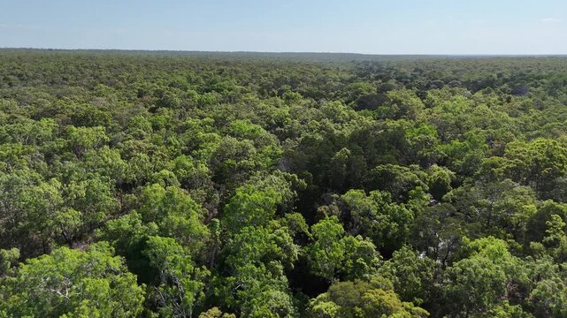 aerial drone shot of a beautiful rainforest landscape along the old telegraph track at the iconic Bertie Creek river crossing in tropical north Queensland of Cape York, Australia.