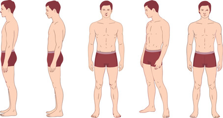 male, man, anatomy, body, figure, human, male figure, male body, male anatomy, standing, side view, front view, back view, profile, three quarter view, underwear, briefs, posing, human body, male mode