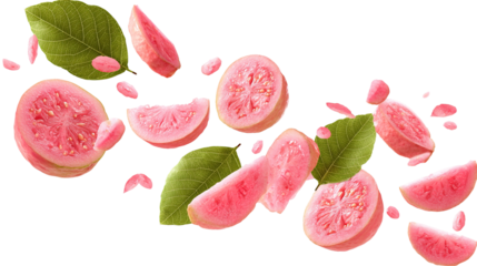 Isolated guava. Collection of green pink fleshed guava fruit pieces and leaves isolated on white background with clipping path