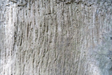 A rough tree-textured background reveals the weathered, vertical stripes of tree bark.