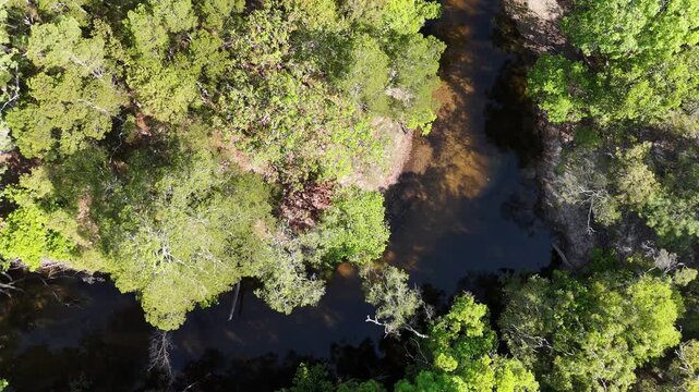 aerial drone shot of a beautiful rainforest landscape along the old telegraph track at the iconic Bertie Creek river crossing in tropical north Queensland of Cape York, Australia.