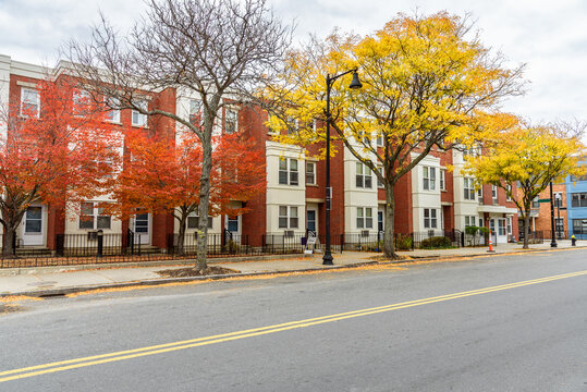 Row houses along a street lined with colourful autumn trees on a cloudy day