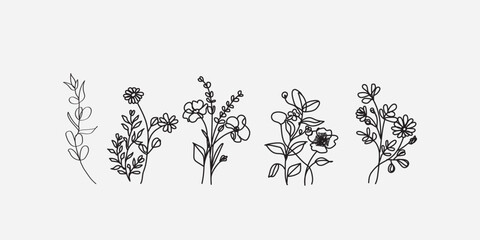 Hand drawn botanical illustrations of delicate flowers and leaves in a sketchy artistic style