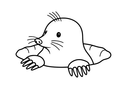 Playful mole peeking out of its burrow, an adorable illustration perfect for children's books and educational materials, simple, cute, vector-based design