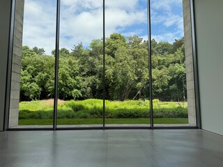 Beautiful green trees and other different plants under blue sky, view through panoramic windows