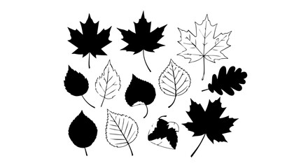 Assortment of Black and White Detailed Leaf Silhouettes, Autumnal Foliage Collection.