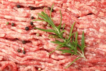 Raw minced meat with peppercorns and rosemary as background, top view