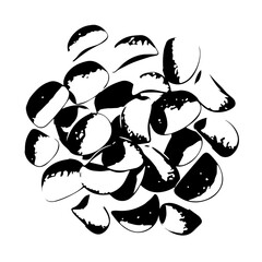 Artistic Black and White Illustration of Shelled Brazil Nuts, Close-Up View.