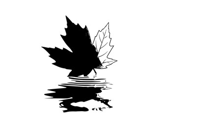 Artistic Black and White Maple Leaves with Water Reflection Silhouette.
