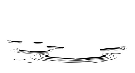 Artistic Black and White Water Ripples Creating Concentric Circular Patterns.