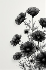 Elegant black and white illustration of poppies with delicate, textured petals and stems, set against a clean white background — artistic, dramatic, and timeless.
