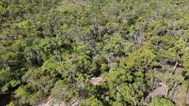 aerial drone shot of a beautiful rainforest landscape along the old telegraph track at the iconic Bertie Creek river crossing in tropical north Queensland of Cape York, Australia.