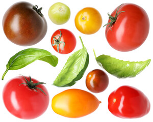 Different fresh tomatoes and green basil isolated on white, set