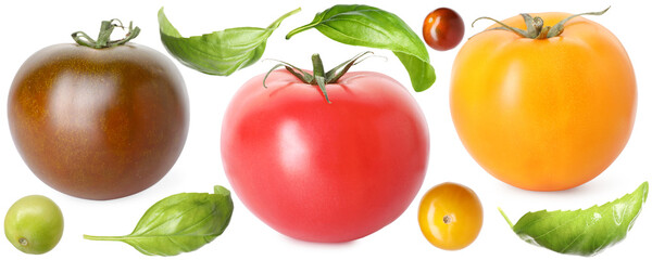 Different fresh tomatoes and green basil isolated on white, set