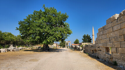 An old mulberry tree at the ancient city of Uzuncaburç (Diocaesarea) offers shade to visitors