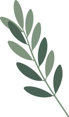 Minimalist olive branch vector botanical illustration natural element vector