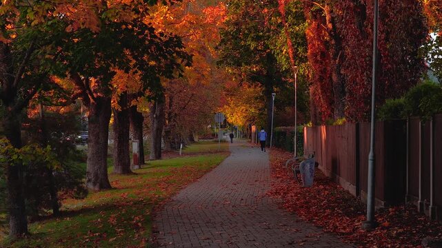 A brick paved pathway bordered by golden autumn trees, a wooden fence, and scattered leaves. People walk in the distance, adding gentle motion.