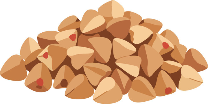 Pile of raw buckwheat groats healthy food ingredient isolated vector