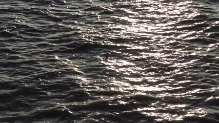 Golden reflection of sunlight on the waves of a river as seen from a moving ship at sunset.