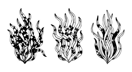 Fototapeta premium Three Stylized Black and White Flame Illustrations with Detailed Line Art.