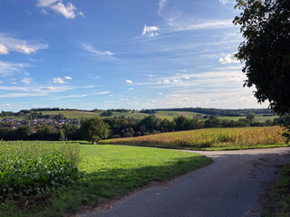 landscape at autumn near Helmstadt