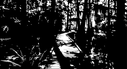 Wooden Boardwalk Path Through Dense Forest with Sunlight and Shadows.