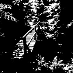 Wooden Bridge Structure with Handrails in Forest, Black and White Illustration.