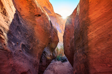 Beginning of Hike to Leprechaun Slot Canyon, Near Hanksville, Utah