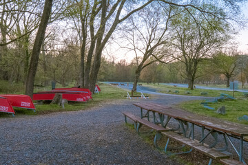 Deers at a distance in a park in Washington, D.C.