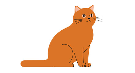 Adorable orange tabby cat sitting gracefully isolated on white studio background domestic pet photography for marketing and design isolated on white background