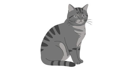 Domestic tabby cat sitting calmly observing its surroundings with intense eyes and distinct striped fur pattern isolated on white background