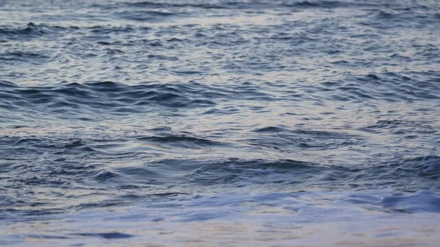 Slow-motion close-up of foamy seawater splashing against the shore at sunset. Droplets rise as waves crash, capturing the raw power and detail of the ocean.