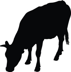 Silhouette cow grazing in field, livestock animal illustration, farm cattle design, agriculture concept, rural nature, dairy farming, vector art