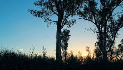 Fototapeta premium Whispers of Dusk