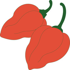 Two Hot Red Habanero Chili Peppers Vector