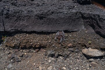 Fissure Vent and spatter rampart. Lava Flows and spatter deposits of July 19 to 22, 1974. Keanakako'i Overlook. Hawaiʻi Volcanoes National Park.