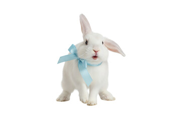 Fototapeta premium Adorable White Rabbit with Blue Ribbon Bow Isolated on White Background, Easter Bunny, Cute Animal, Pet, Clean Studio Shot, Front View