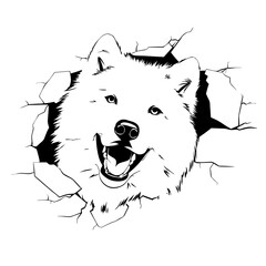 Cheerful furry dog head bursting through a cracked wall. Dynamic black and white vector illustration of a happy domestic animal.