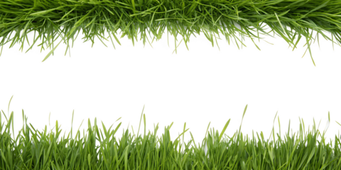 Two rows of green grass framing a central black space for text or design lawn nature isolated on a transparent background