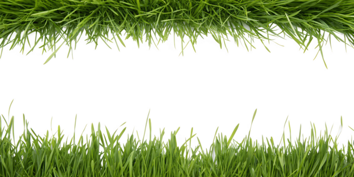 Two rows of green grass framing a central black space for text or design lawn nature isolated on a transparent background