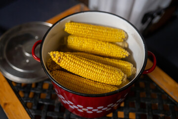Boiled corn on the cob in red enamel pot