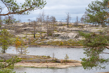 A view of a barren, rocky island landscape with sparse, gnarled trees, seen through a natural frame of pine branches under an overcast sky