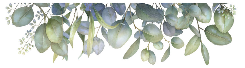 Watercolor eucalyptus frame, PNG greenery border, Provence-style arrangement
