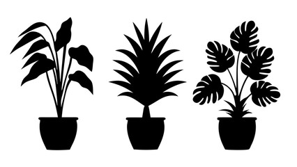 Set of Potted Houseplant Silhouettes. Black Indoor Plant Icons