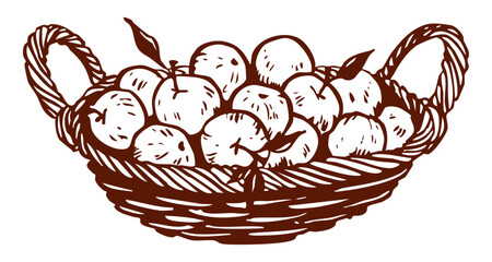 Rustic hand drawn apple basket illustration vector. Autumn harvest, fruit, botanical, farm, Thanksgiving, natural design elements.