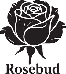 Rose bud silhouette isolated floral vector illustration on white background